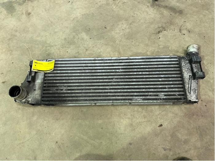 Gebruikte Intercooler Renault Megane II (BM/CM) 1.9 dCi 120 Prijs € 20,00 Margeregeling aangeboden door F. van den Mosselaar autodemontage