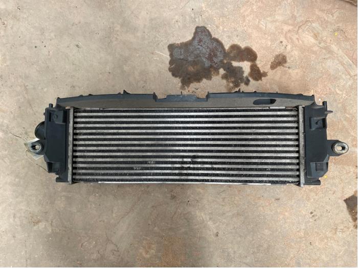 Gebruikte Intercooler Renault Trafic New (FL) 2.5 dCi 16V 145 Prijs € 50,00 Margeregeling aangeboden door F. van den Mosselaar autodemontage