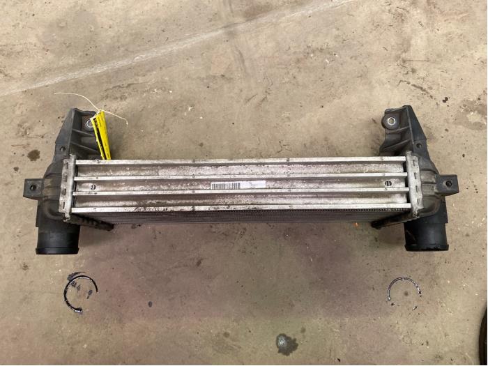 Gebruikte Intercooler Ford Transit Connect 1.8 TDCi 90 DPF Prijs € 25,00 Margeregeling aangeboden door F. van den Mosselaar autodemontage