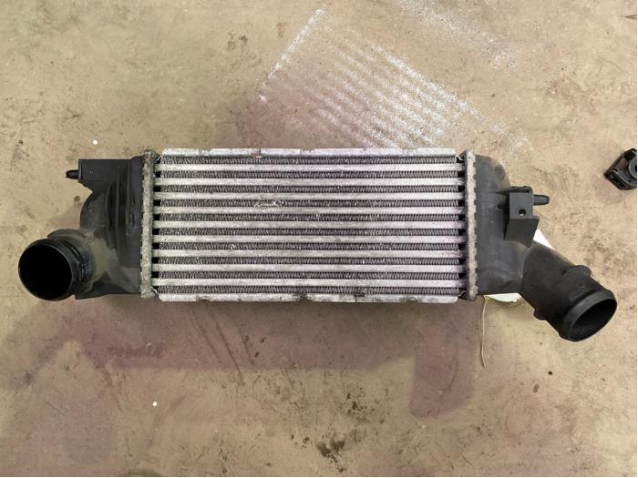 Gebruikte Intercooler Peugeot 407 SW (6E) 1.6 HDiF 16V Prijs € 35,00 Margeregeling aangeboden door F. van den Mosselaar autodemontage