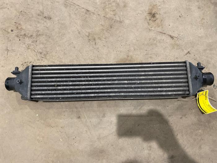 Gebruikte Intercooler Fiat Bravo (198A) 1.6 JTD Multijet 105 Prijs € 25,00 Margeregeling aangeboden door F. van den Mosselaar autodemontage