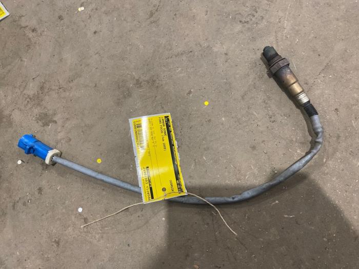 Gebruikte Lambda Sonde Ford Focus 2 1.6 16V Prijs € 10,00 Margeregeling aangeboden door F. van den Mosselaar autodemontage