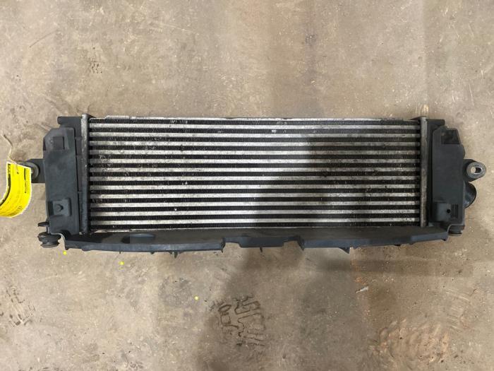 Gebruikte Intercooler Renault Trafic New (JL) 2.5 dCi 16V 145 Prijs € 50,00 Margeregeling aangeboden door F. van den Mosselaar autodemontage