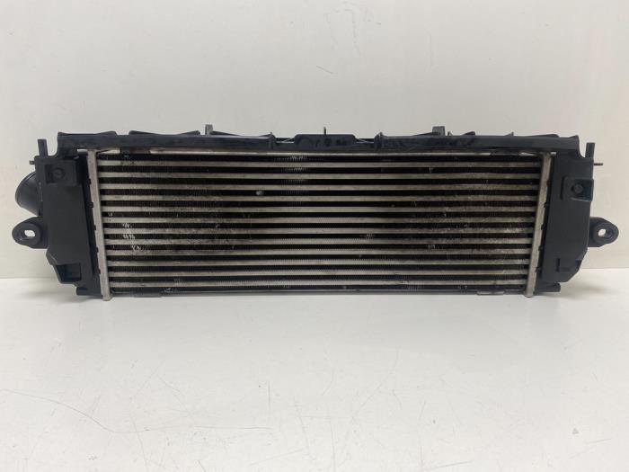 Gebruikte Intercooler Renault Trafic New (FL) 2.0 dCi 16V 90 Prijs € 50,00 Margeregeling aangeboden door F. van den Mosselaar autodemontage