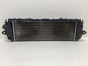 Gebruikte Intercooler Renault Trafic New (FL) 2.0 dCi 16V 90 Prijs € 50,00 Margeregeling aangeboden door F. van den Mosselaar autodemontage
