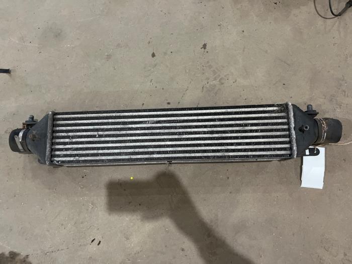 Gebruikte Intercooler Fiat Doblo Cargo (263) 1.3 MJ 16V Euro 4 Prijs € 25,00 Margeregeling aangeboden door F. van den Mosselaar autodemontage