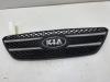 Kia Cee'd (EDB5) 1.4 CVVT 16V Grille