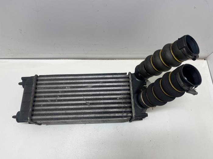 Gebruikte Intercooler Peugeot 308 SW (4E/H) 1.6 HDi 16V FAP Prijs € 25,00 Margeregeling aangeboden door F. van den Mosselaar autodemontage
