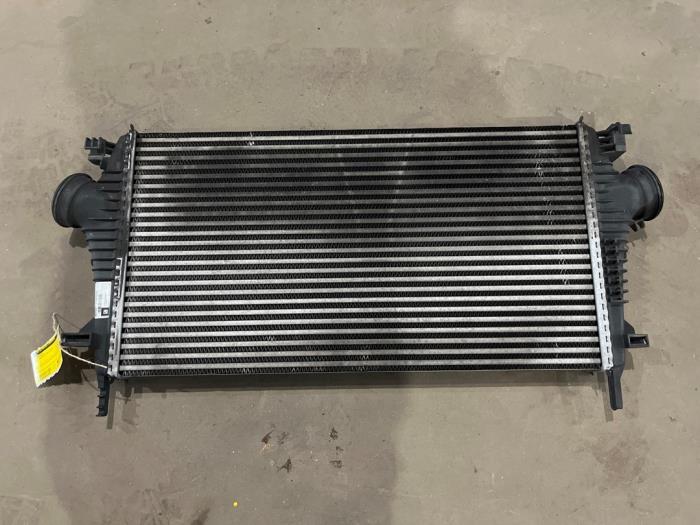 Gebruikte Intercooler Opel Insignia Sports Tourer 2.0 CDTI 16V 130 ecoFLEX Prijs € 35,00 Margeregeling aangeboden door F. van den Mosselaar autodemontage