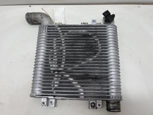 Gebruikte Intercooler Hyundai Santa Fe II (CM) 2.2 CRDi 16V 4x2 Prijs € 25,00 Margeregeling aangeboden door F. van den Mosselaar autodemontage