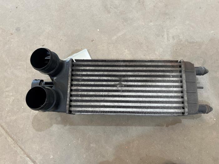 Gebruikte Intercooler Citroen C5 III Tourer (RW) 1.6 16V THP 155 Prijs € 25,00 Margeregeling aangeboden door F. van den Mosselaar autodemontage