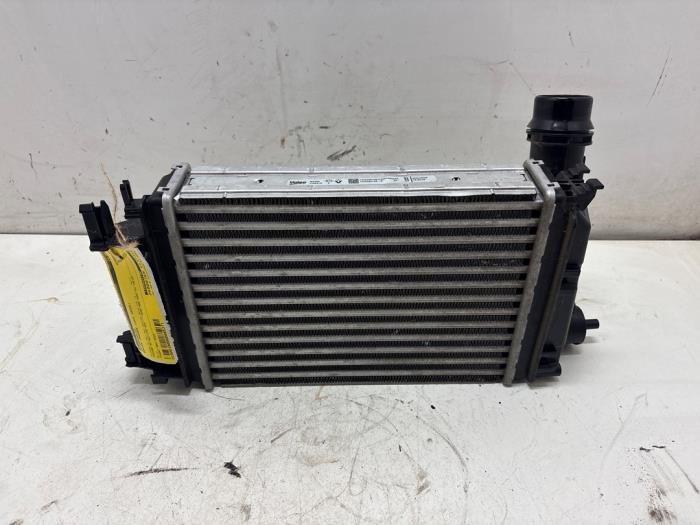 Gebruikte Intercooler Dacia Jogger 1.0 TCe 100 Bi-Fuel , ECO-G 12V Prijs € 150,00 Margeregeling aangeboden door F. van den Mosselaar autodemontage