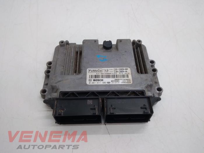 Gebruikte Computer Motormanagement Ford Fiesta 6 (JA8) 1.0 EcoBoost 12V 100 Prijs € 149,99 Margeregeling aangeboden door Venema Autoparts