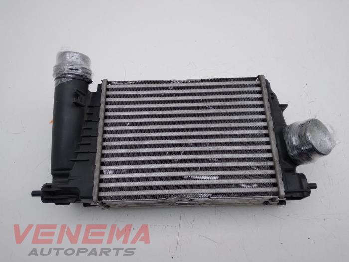 Gebruikte Intercooler Renault Megane IV Estate (RFBK) 1.3 TCE 160 16V Prijs € 124,99 Margeregeling aangeboden door Venema Autoparts