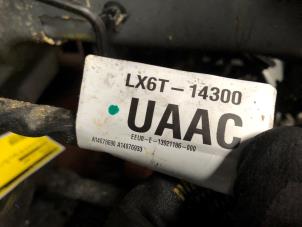 Gebruikte Kabelboom Ford Focus 4 Wagon 1.0 EcoBoost 12V Hybrid 125 Prijs op aanvraag aangeboden door N Kossen Autorecycling BV