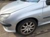 Peugeot 206 CC (2D) 2.0 16V Scherm links-voor