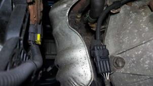 Gebruikte Katalysator Fiat Grande Punto (199) 1.4 16V Prijs op aanvraag aangeboden door N Kossen Autorecycling BV