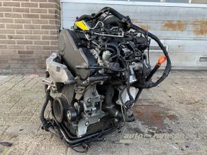 Gebruikte Motor Volkswagen Polo V (6R) 1.2 TDI 12V BlueMotion Prijs € 400,00 Margeregeling aangeboden door Auto Samsen B.V.