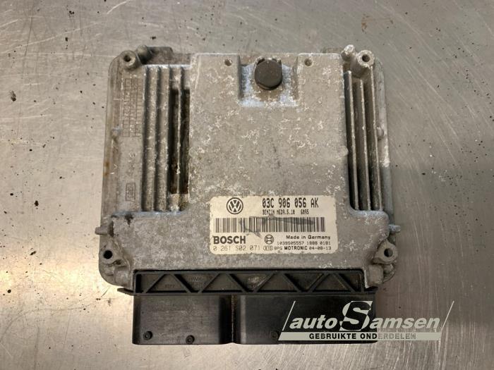 Gebruikte Computer Motormanagement Volkswagen Golf V (1K1) 1.6 FSI 16V Prijs € 75,00 Margeregeling aangeboden door Auto Samsen B.V.