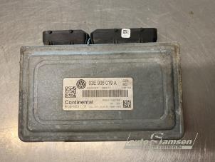 Gebruikte Computer Motormanagement Volkswagen Polo V (6R) 1.2 12V BlueMotion Technology Prijs € 100,00 Margeregeling aangeboden door Auto Samsen B.V.