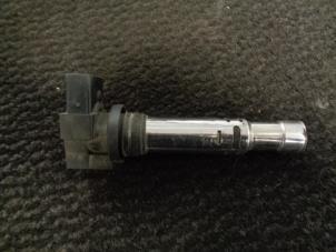 Gebruikte Pen Bobine Volkswagen Polo IV (9N1/2/3) 1.4 16V 75 Prijs € 10,00 Margeregeling aangeboden door Westerhof autodemontage
