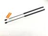 Set Gasdempers Achterklep Opel Corsa