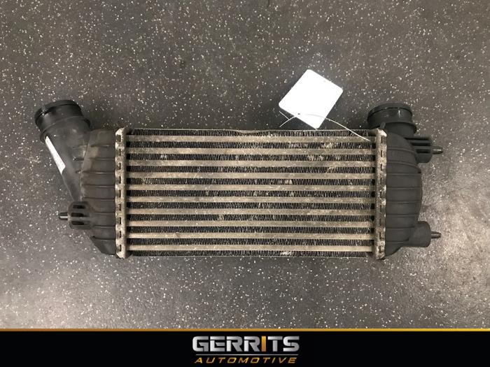 Gebruikte Intercooler Fiat Scudo (270) 2.0 D Multijet Prijs € 72,60 Margeregeling aangeboden door Gerrits Automotive BV