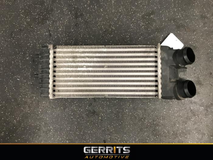 Gebruikte Intercooler Citroen Berlingo 1.6 HDI 16V 75 Prijs € 28,60 Margeregeling aangeboden door Gerrits Automotive BV