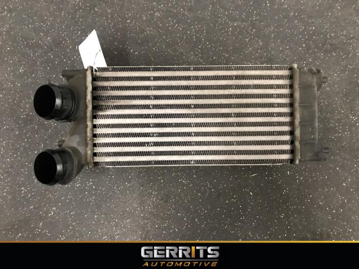 Gebruikte Intercooler Citroen Berlingo 1.6 Hdi 75 Prijs € 34,10 Margeregeling aangeboden door Gerrits Automotive BV