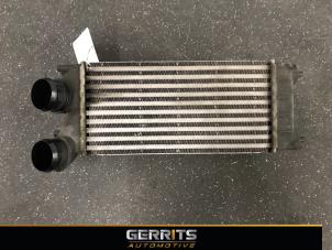 Gebruikte Intercooler Citroen Berlingo 1.6 Hdi 75 Prijs € 34,10 Margeregeling aangeboden door Gerrits Automotive BV
