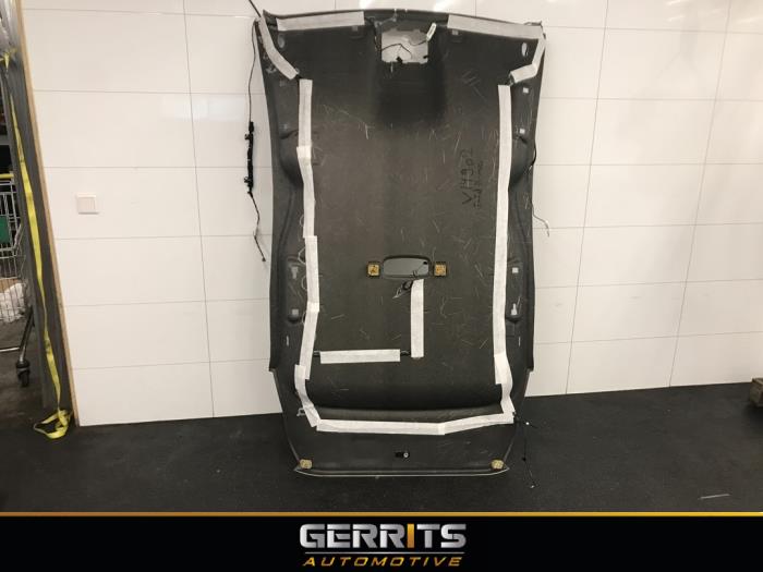 Hemelbekleding van een Ford B-Max (JK8) 1.0 EcoBoost 12V 100 2014