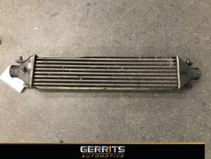 Gebruikte Intercooler Fiat Doblo Cargo (263) 1.3 D Multijet Prijs € 99,80 Inclusief btw aangeboden door Gerrits Automotive BV