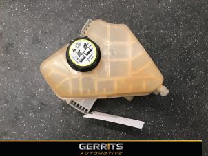 Gebruikte Expansievat Ford Fiesta 6 (JA8) 1.6 SCTi ST 16V Prijs € 19,99 Margeregeling aangeboden door Gerrits Automotive BV