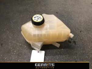 Gebruikte Expansievat Ford Fiesta 6 (JA8) 1.0 SCI 12V 80 Prijs € 19,99 Margeregeling aangeboden door Gerrits Automotive BV