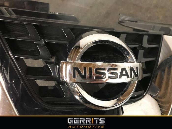 Grille Nissan Juke Gerrits Automotive Auto parts & repair company