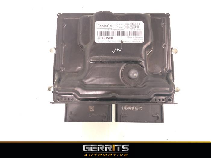 Gebruikte Computer Motormanagement Ford Focus 4 1.0 Ti-VCT EcoBoost 12V 100 Prijs € 349,99 Margeregeling aangeboden door Gerrits Automotive BV