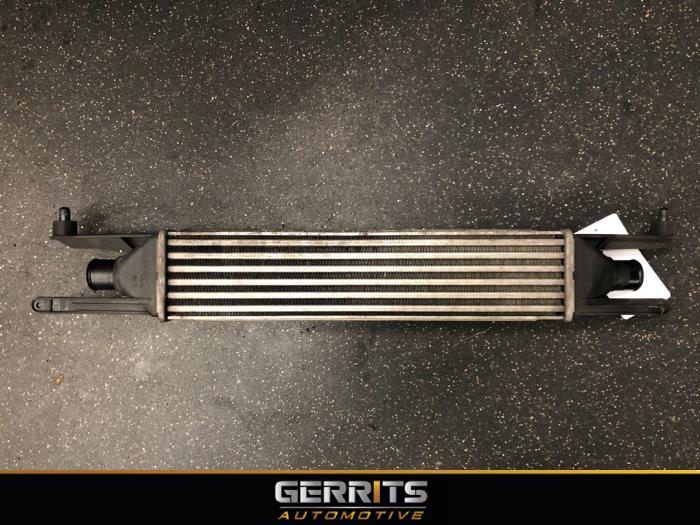 Gebruikte Intercooler Fiat Grande Punto (199) 1.3 JTD Multijet 16V 85 Actual Prijs € 34,99 Margeregeling aangeboden door Gerrits Automotive BV
