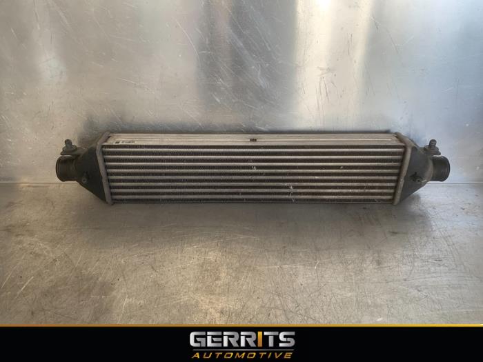 Gebruikte Intercooler Fiat Bravo (198A) 1.6 JTD Multijet 105 Prijs € 34,99 Margeregeling aangeboden door Gerrits Automotive BV