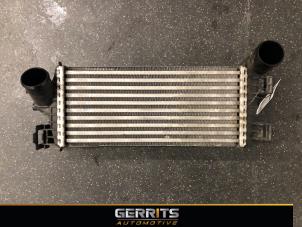 Gebruikte Intercooler Ford Focus 3 1.0 Ti-VCT EcoBoost 12V 125 Prijs € 69,99 Margeregeling aangeboden door Gerrits Automotive BV