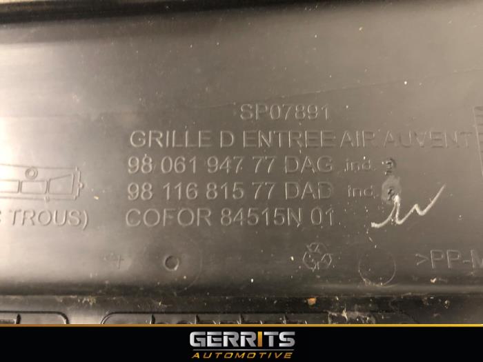 Paravent van een Citroën Jumpy 1.6 Blue HDi 95 2017