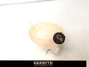 Gebruikte Expansievat Ford Fiesta 7 1.0 EcoBoost 12V 100 Prijs € 19,99 Margeregeling aangeboden door Gerrits Automotive BV