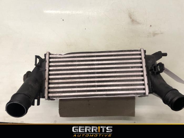 Gebruikte Intercooler Ford Fiesta 7 1.0 EcoBoost 12V 100 Prijs € 69,99 Margeregeling aangeboden door Gerrits Automotive BV