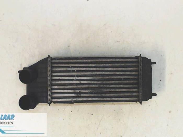 Gebruikte Intercooler Peugeot Expert (G9) 2.0 HDiF 16V 130 Prijs € 150,00 Margeregeling aangeboden door Autodemontage van de Laar