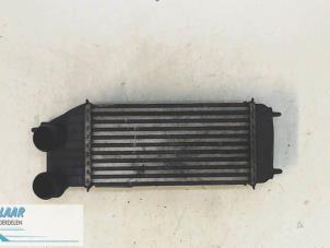 Gebruikte Intercooler Peugeot Expert (G9) 2.0 HDiF 16V 130 Prijs € 150,00 Margeregeling aangeboden door Autodemontage van de Laar