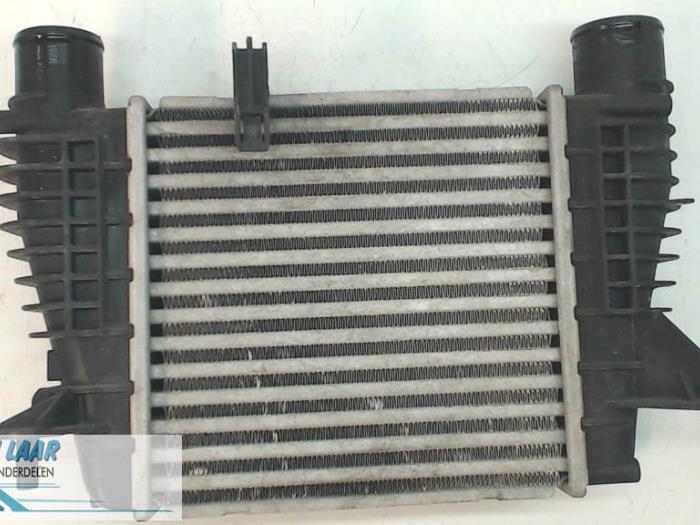Gebruikte Intercooler Renault Clio III (BR/CR) 1.2 16V Tce Prijs € 40,00 Margeregeling aangeboden door Autodemontage van de Laar