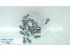 Dacia Duster (SR) 1.6 16V Wielbouten set