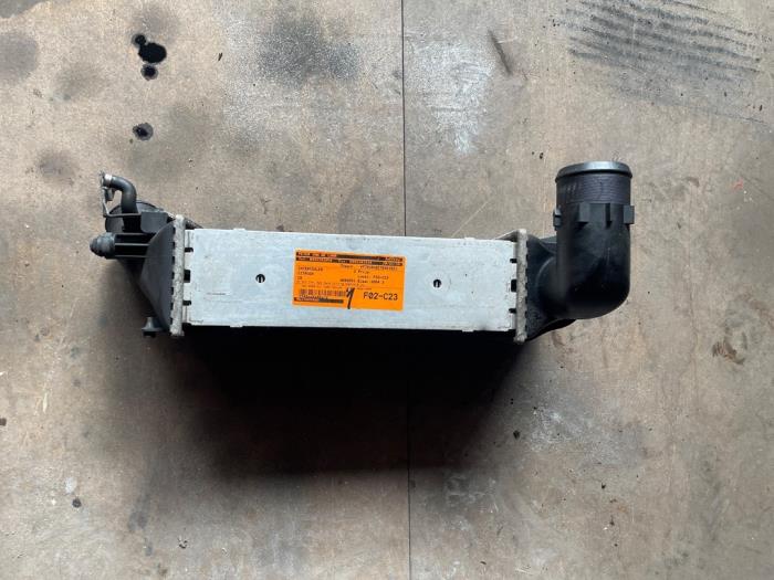 Gebruikte Intercooler Citroen C5 I Berline (DC) 2.0 HDi 110 Prijs € 100,00 Margeregeling aangeboden door Autodemontage van de Laar