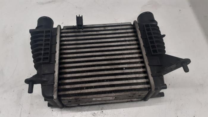 Gebruikte Intercooler Renault Clio III (BR/CR) 1.2 16V TCe 100 Prijs € 40,00 Margeregeling aangeboden door Autodemontage van de Laar