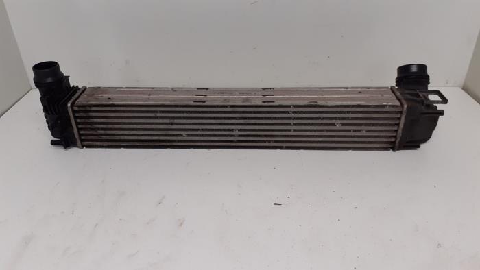 Gebruikte Intercooler Renault Scénic III (JZ) 1.9 dCi Prijs € 125,00 Margeregeling aangeboden door Autodemontage van de Laar