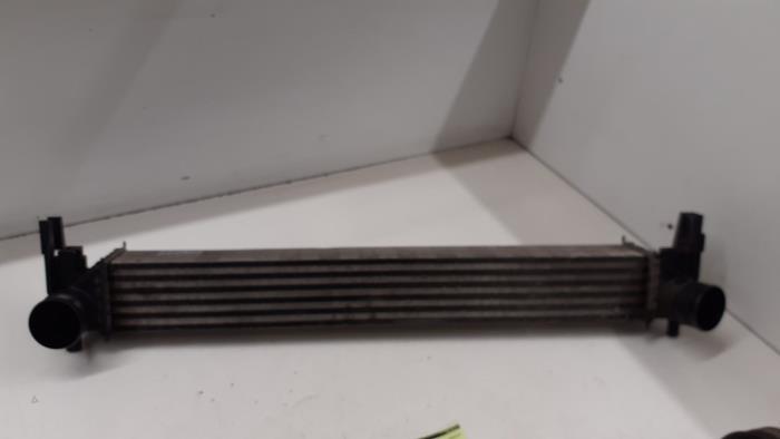 Gebruikte Intercooler Skoda Rapid 1.6 TDI Prijs € 70,00 Margeregeling aangeboden door Autodemontage van de Laar
